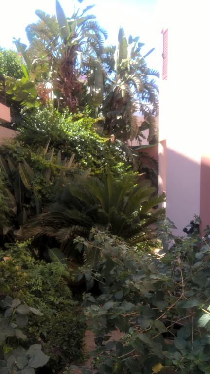 Appartamento Rosmarino Kíssamos Esterno foto